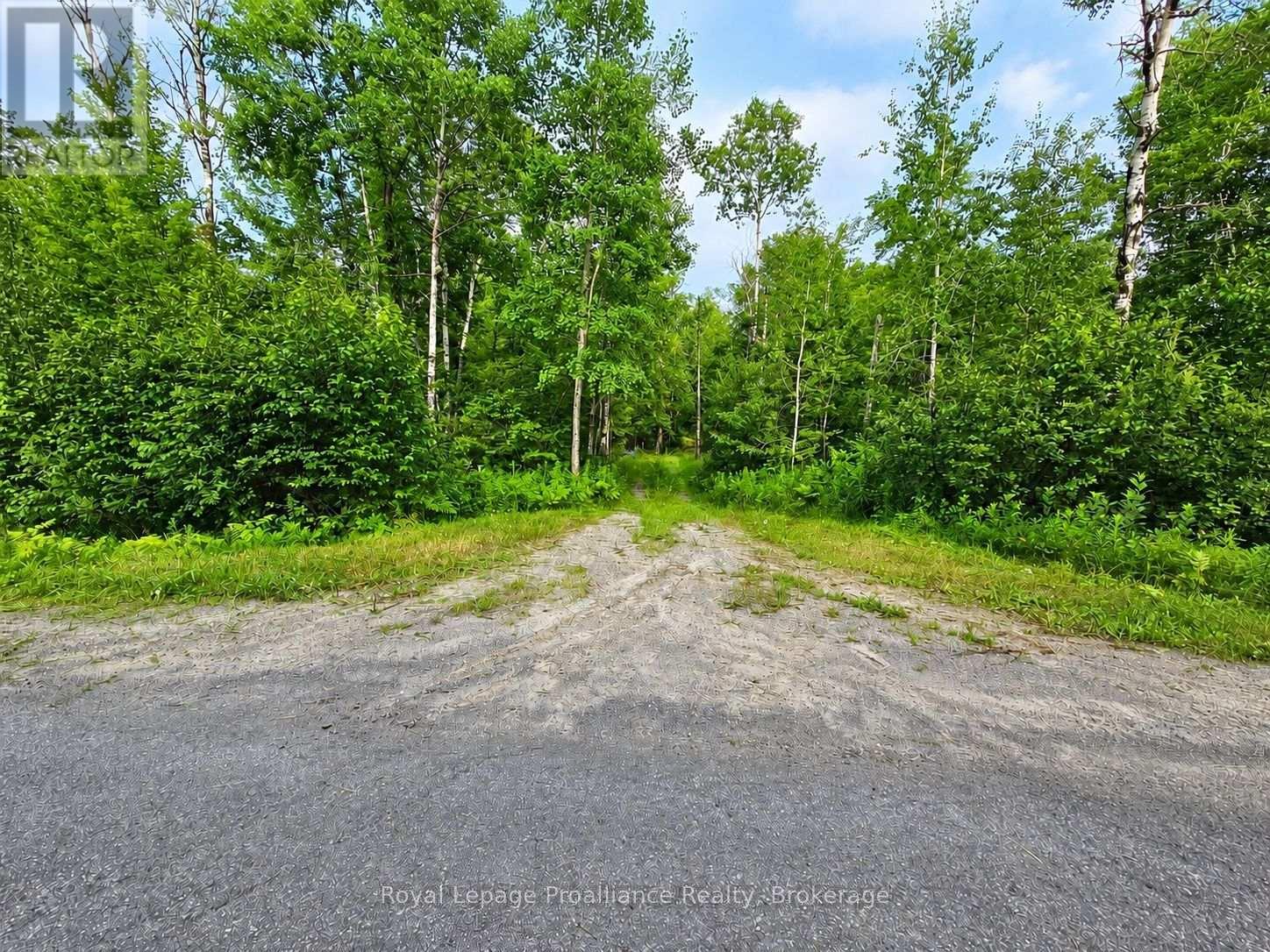 1446 Flinton Road, Tweed, Ontario  K0H 1P0 - Photo 1 - X13617870