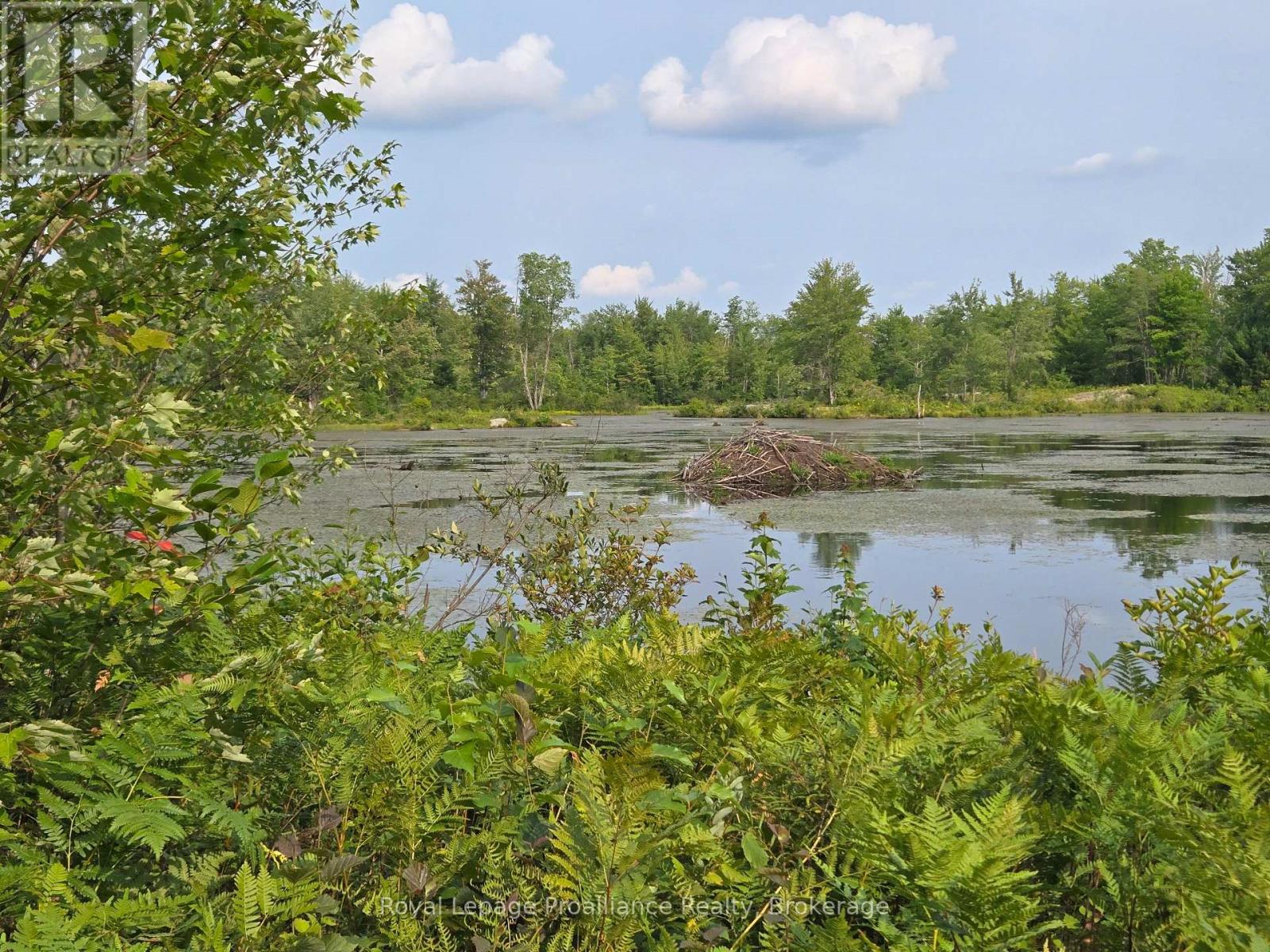 1446 Flinton Road, Tweed, Ontario  K0H 1P0 - Photo 10 - X13617870