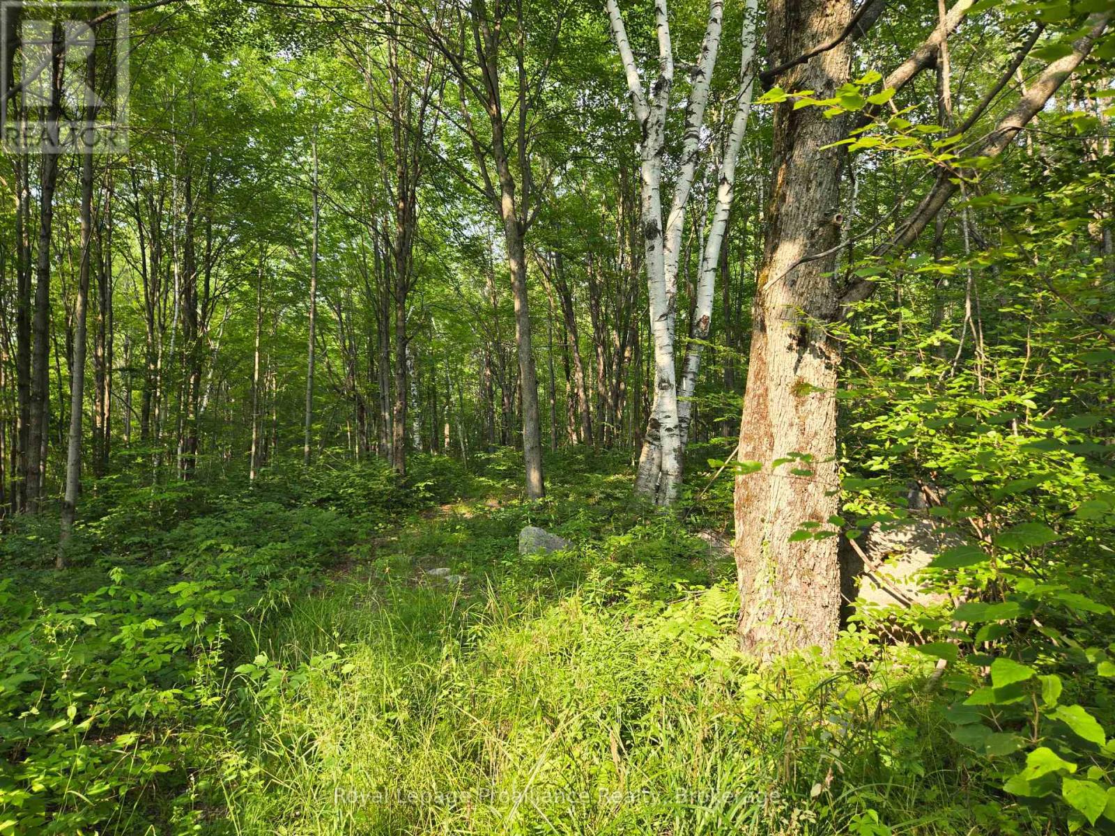 1446 Flinton Road, Tweed, Ontario  K0H 1P0 - Photo 11 - X13617870