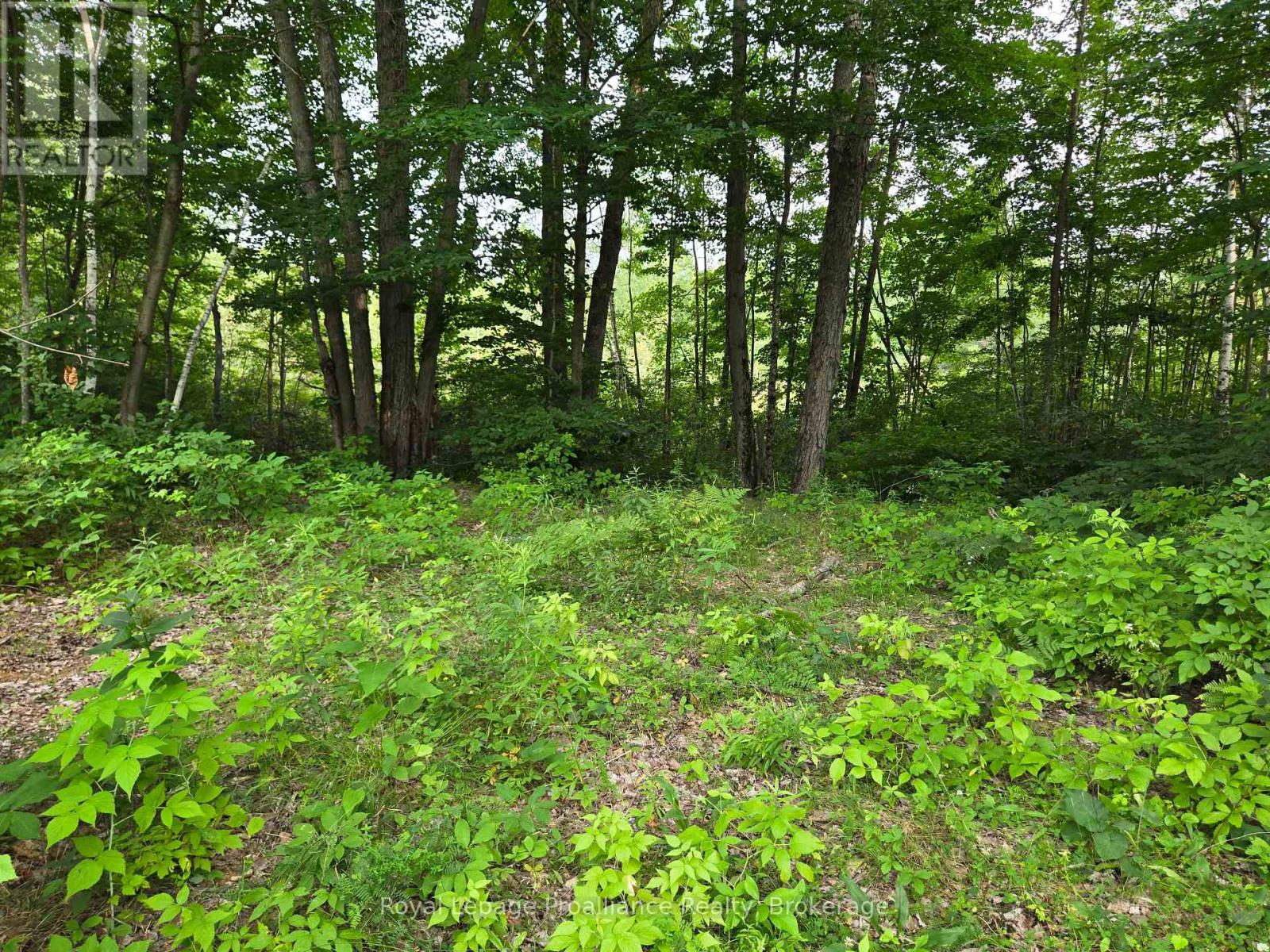 1446 Flinton Road, Tweed, Ontario  K0H 1P0 - Photo 14 - X13617870