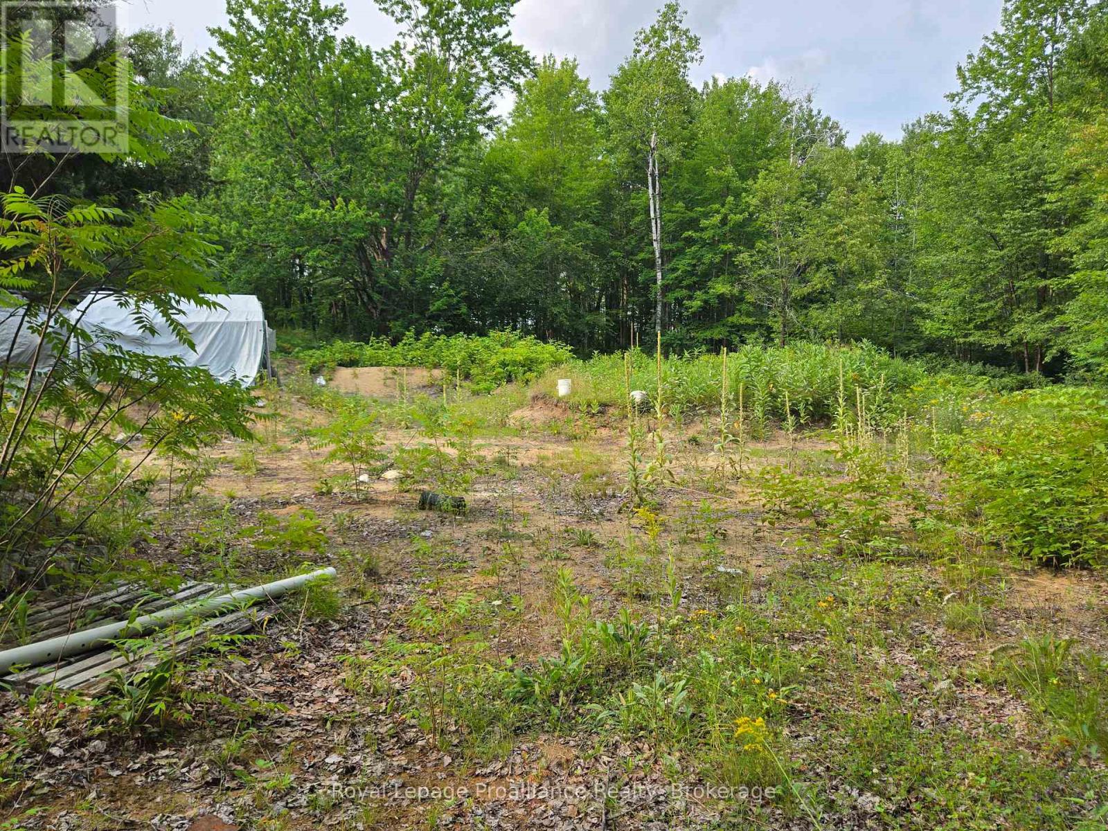 1446 Flinton Road, Tweed, Ontario  K0H 1P0 - Photo 15 - X13617870