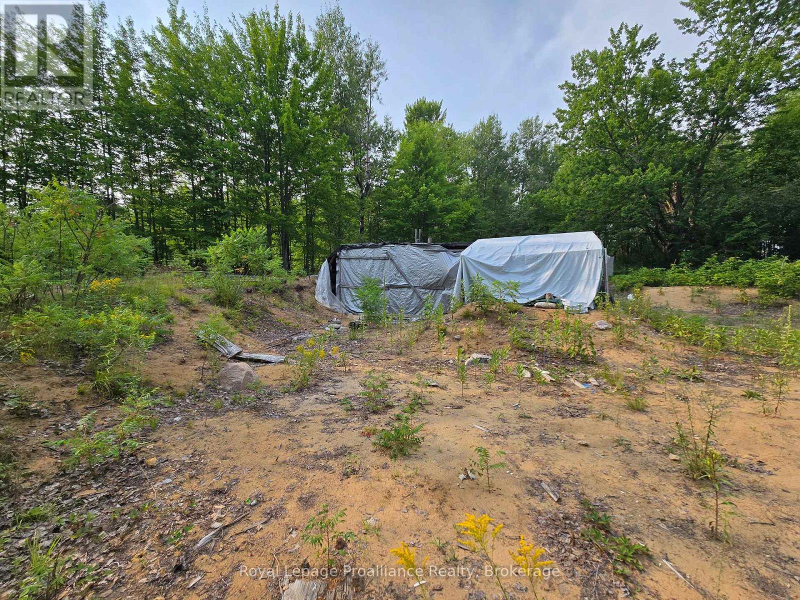 1446 Flinton Road, Tweed, Ontario  K0H 1P0 - Photo 17 - X13617870