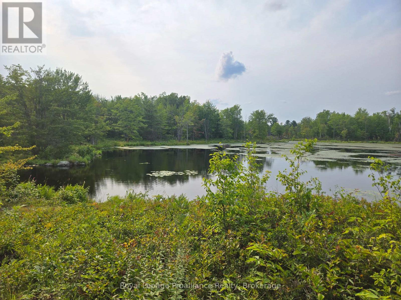 1446 Flinton Road, Tweed, Ontario  K0H 1P0 - Photo 18 - X13617870