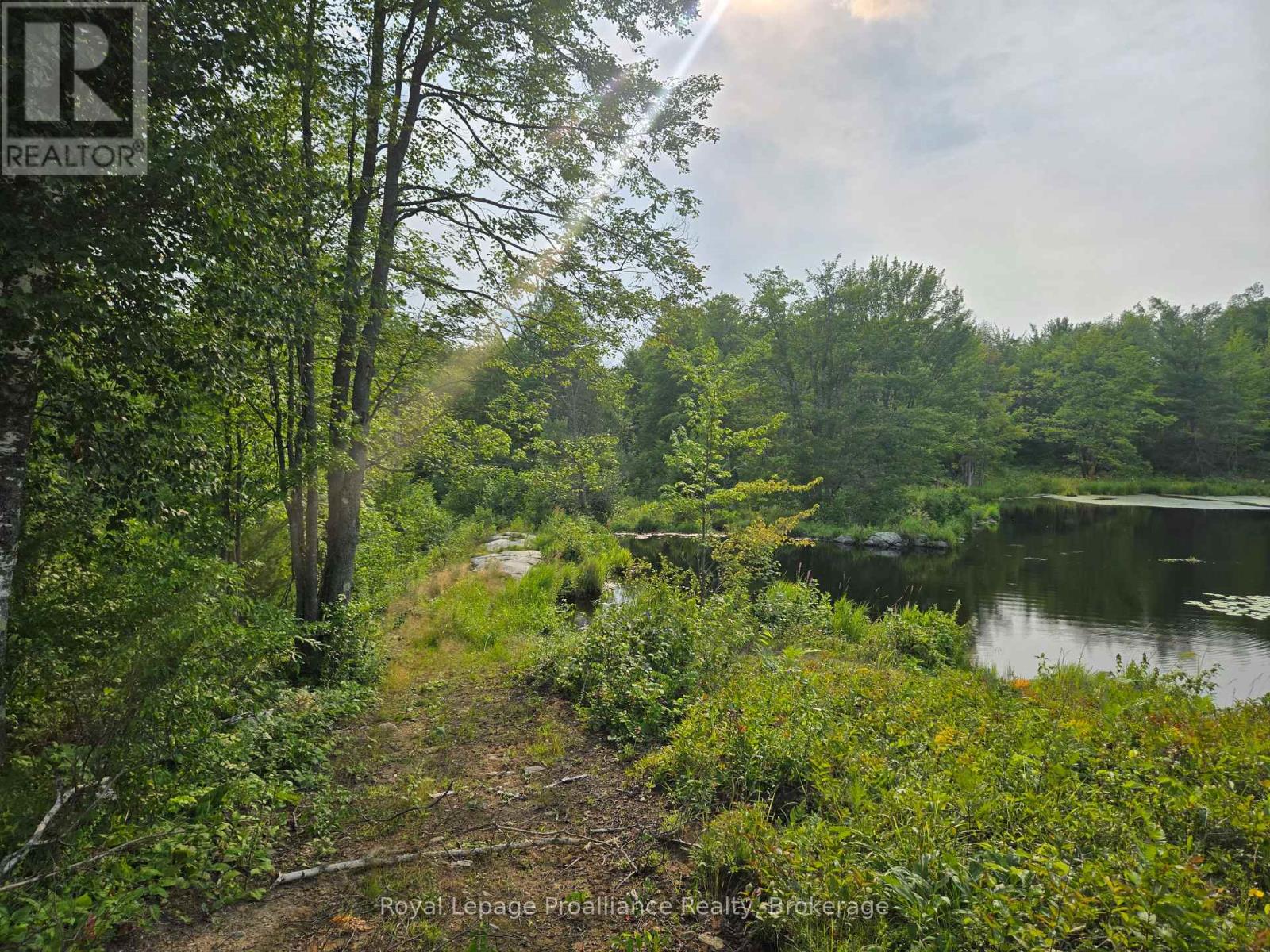 1446 Flinton Road, Tweed, Ontario  K0H 1P0 - Photo 19 - X13617870