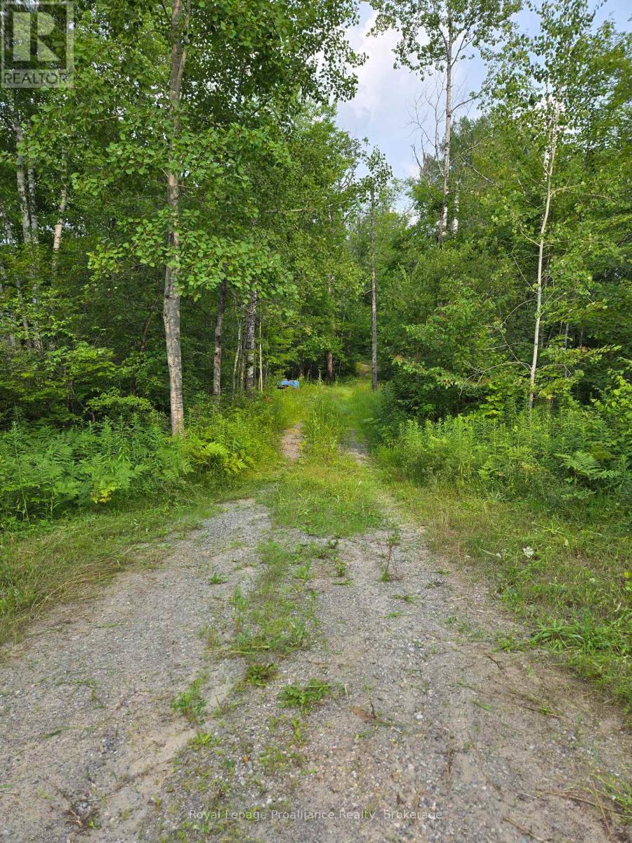 1446 Flinton Road, Tweed, Ontario  K0H 1P0 - Photo 2 - X13617870