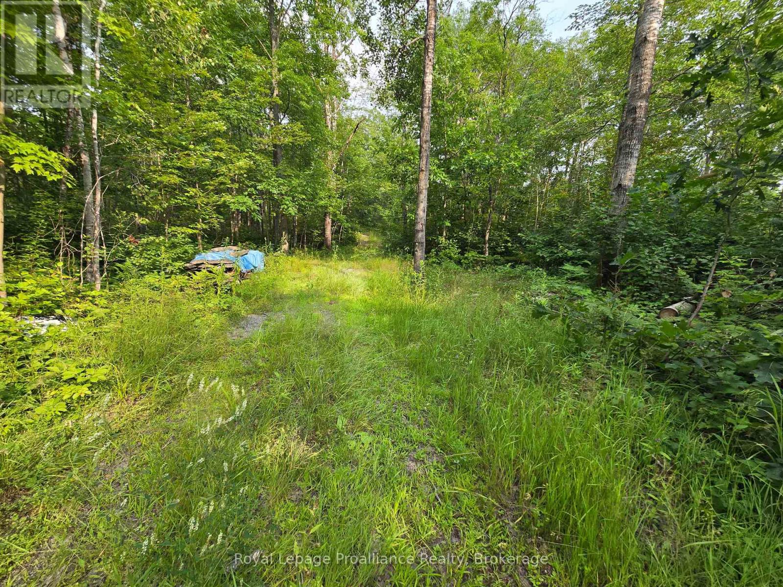 1446 Flinton Road, Tweed, Ontario  K0H 1P0 - Photo 3 - X13617870
