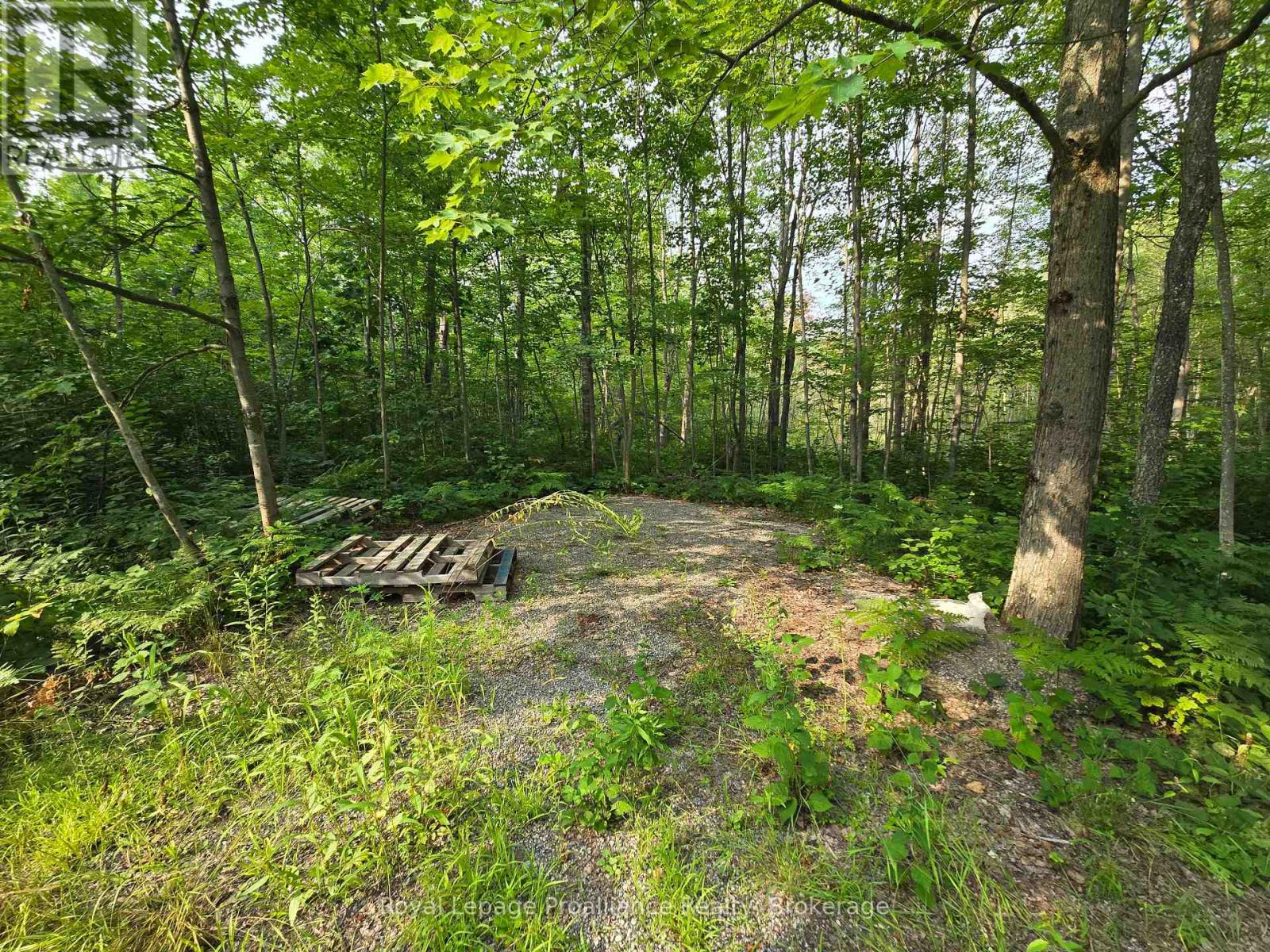 1446 Flinton Road, Tweed, Ontario  K0H 1P0 - Photo 4 - X13617870