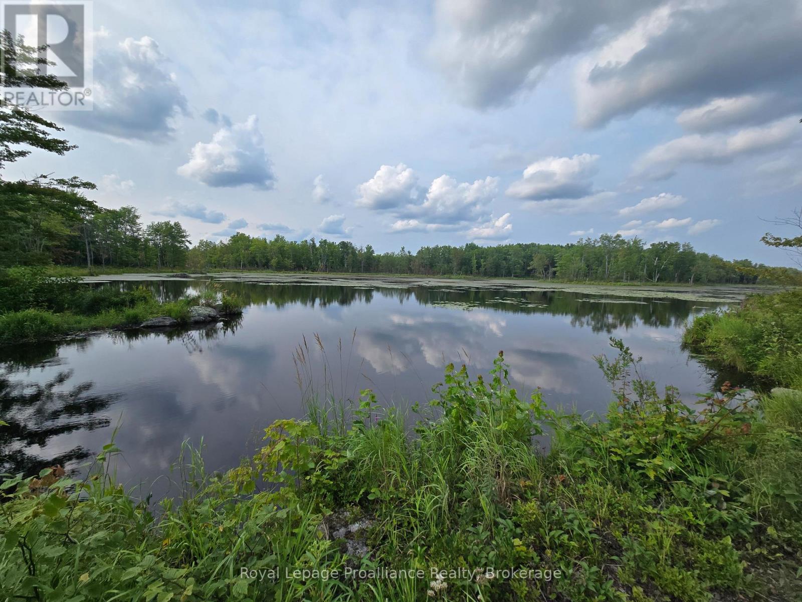 1446 Flinton Road, Tweed, Ontario  K0H 1P0 - Photo 6 - X13617870