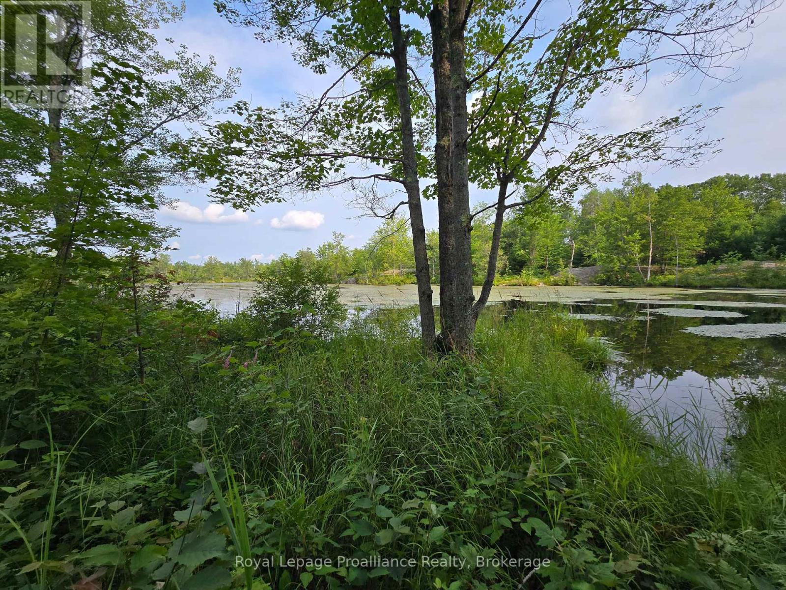 1446 Flinton Road, Tweed, Ontario  K0H 1P0 - Photo 7 - X13617870
