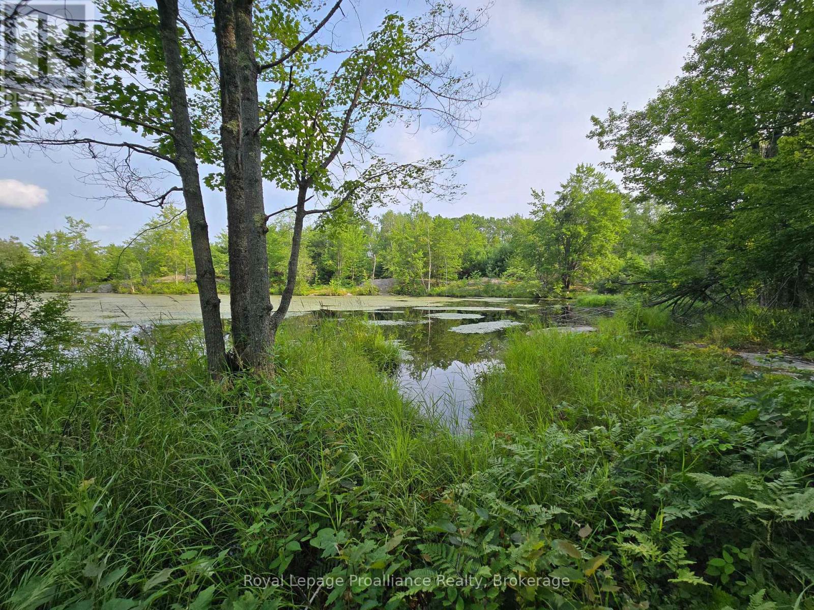 1446 Flinton Road, Tweed, Ontario  K0H 1P0 - Photo 8 - X13617870