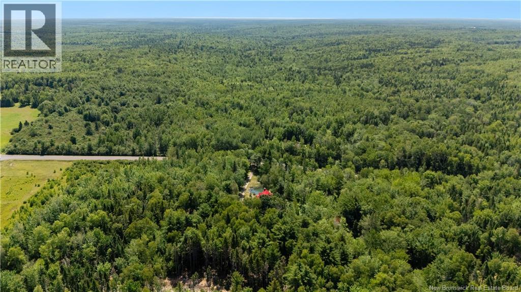 982 Route 945, Cormier Village, New Brunswick  E4P 5Z1 - Photo 48 - NB144945