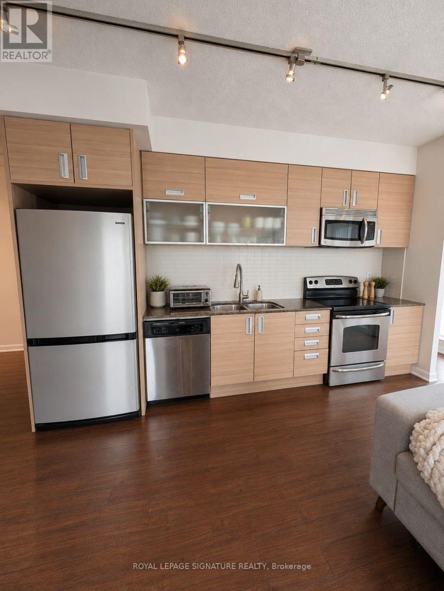 1010 - 205 Frederick Street, Toronto, Ontario  M5A 4V3 - Photo 3 - C13617748