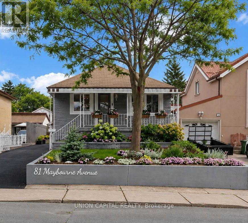 81 MAYBOURNE AVENUE, Toronto, Ontario