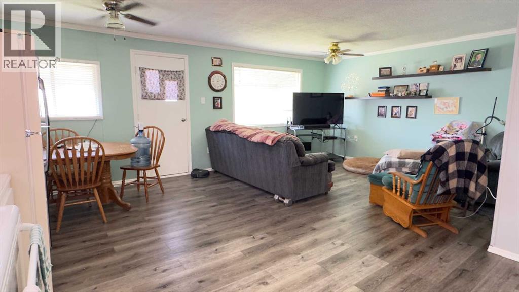 39 Rydberg Street, Hughenden, Alberta  T0B 2E0 - Photo 4 - A2240493