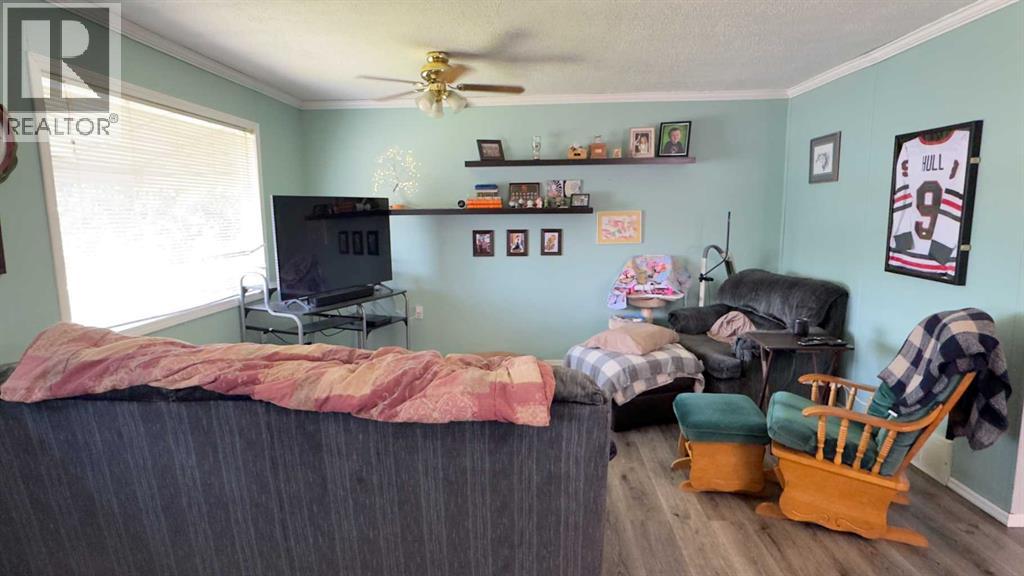 39 Rydberg Street, Hughenden, Alberta  T0B 2E0 - Photo 3 - A2240493