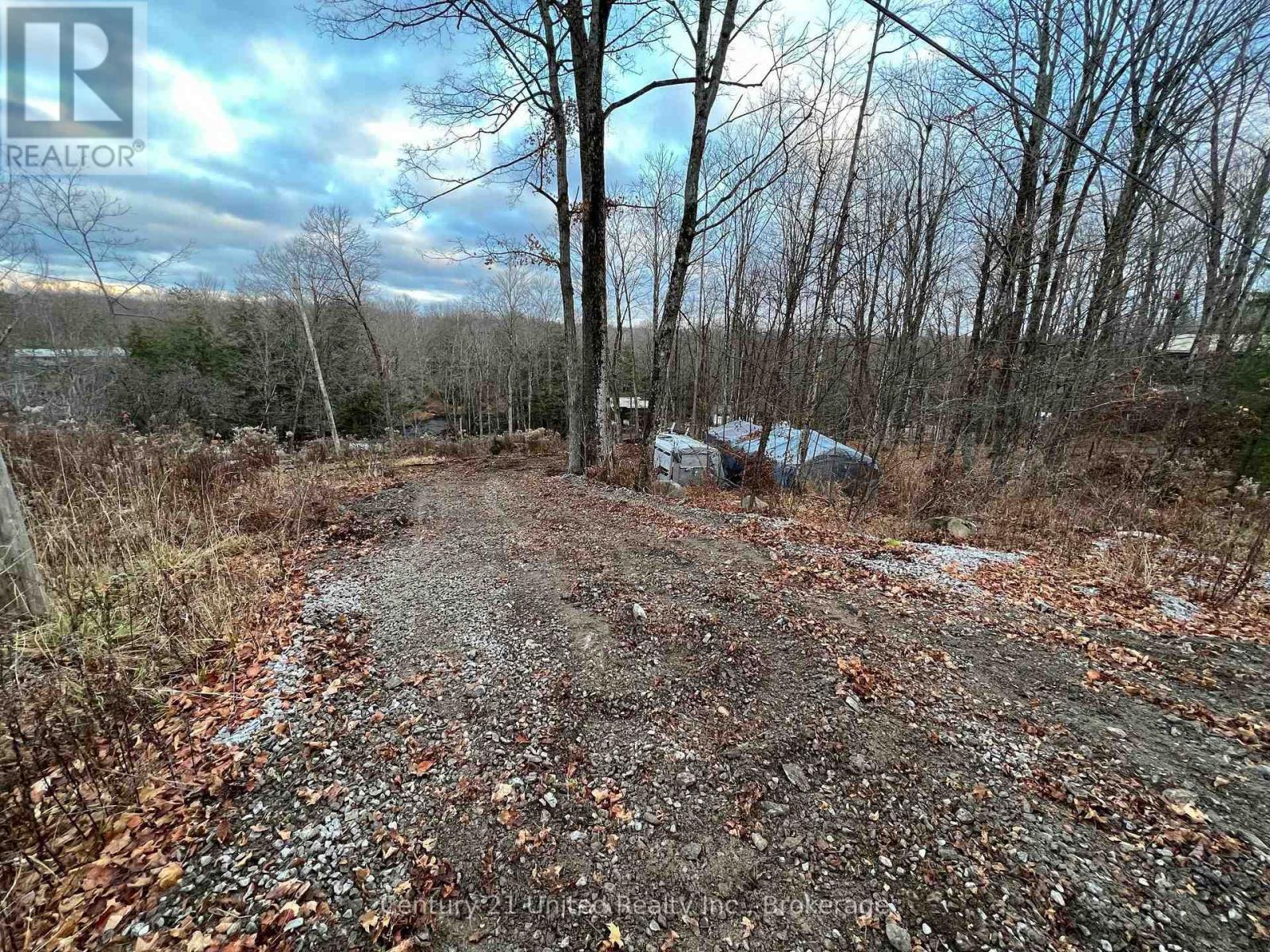 Lot 86 Kennedy Drive, Trent Lakes, Ontario  K0M 1A0 - Photo 10 - X13612350