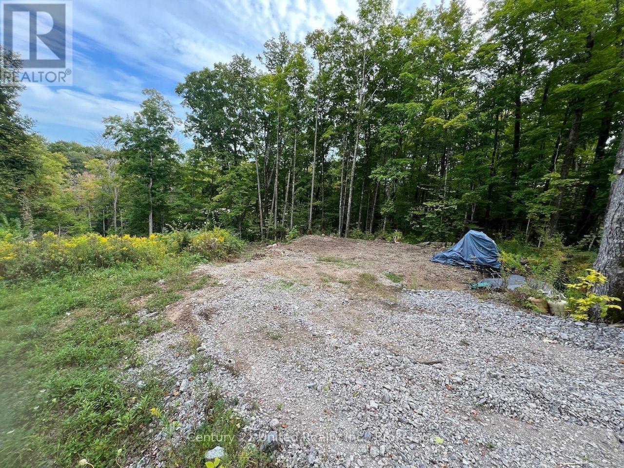 Lot 86 Kennedy Drive, Trent Lakes, Ontario  K0M 1A0 - Photo 3 - X13612350