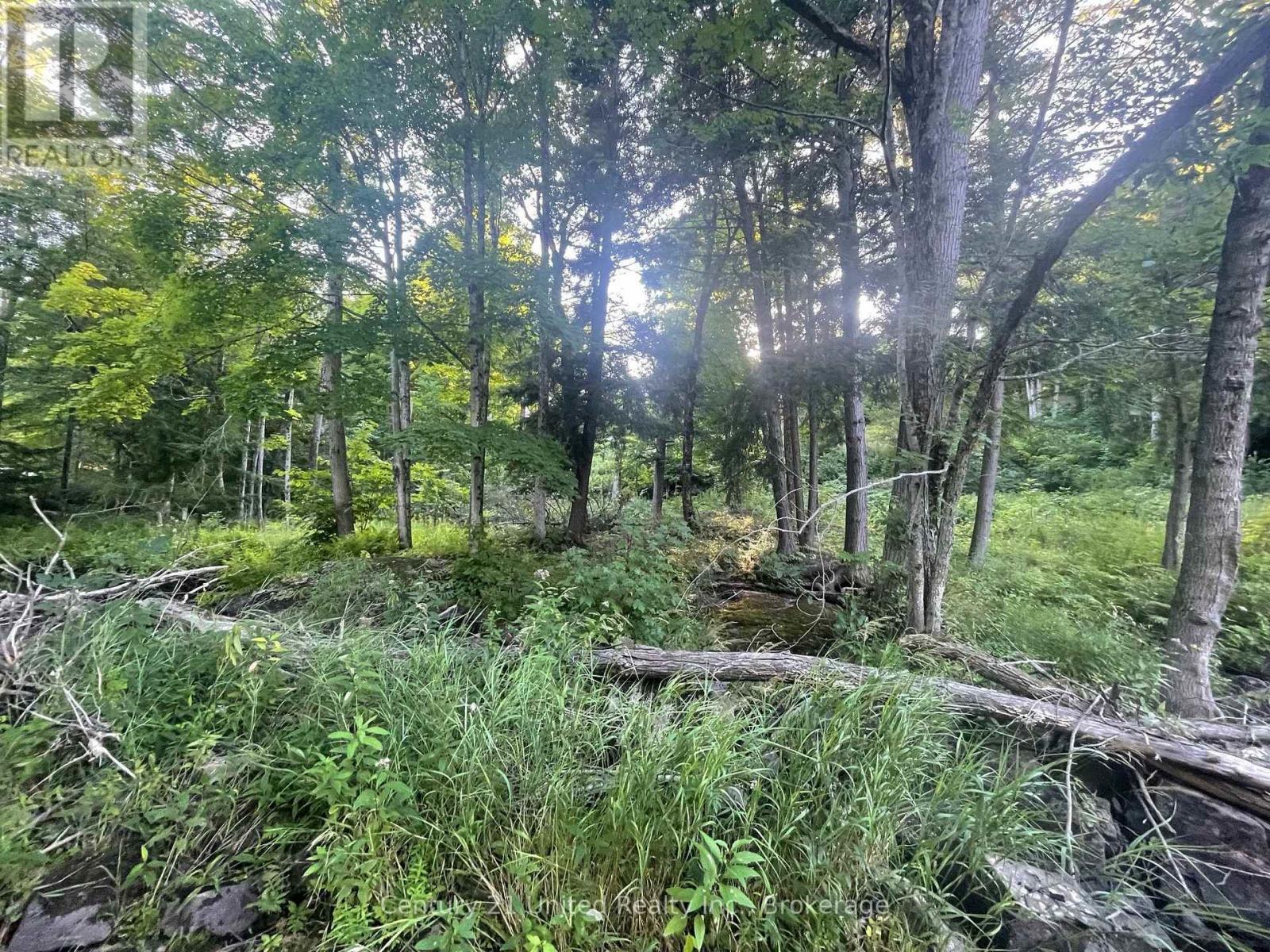 Lot 86 Kennedy Drive, Trent Lakes, Ontario  K0M 1A0 - Photo 6 - X13612350