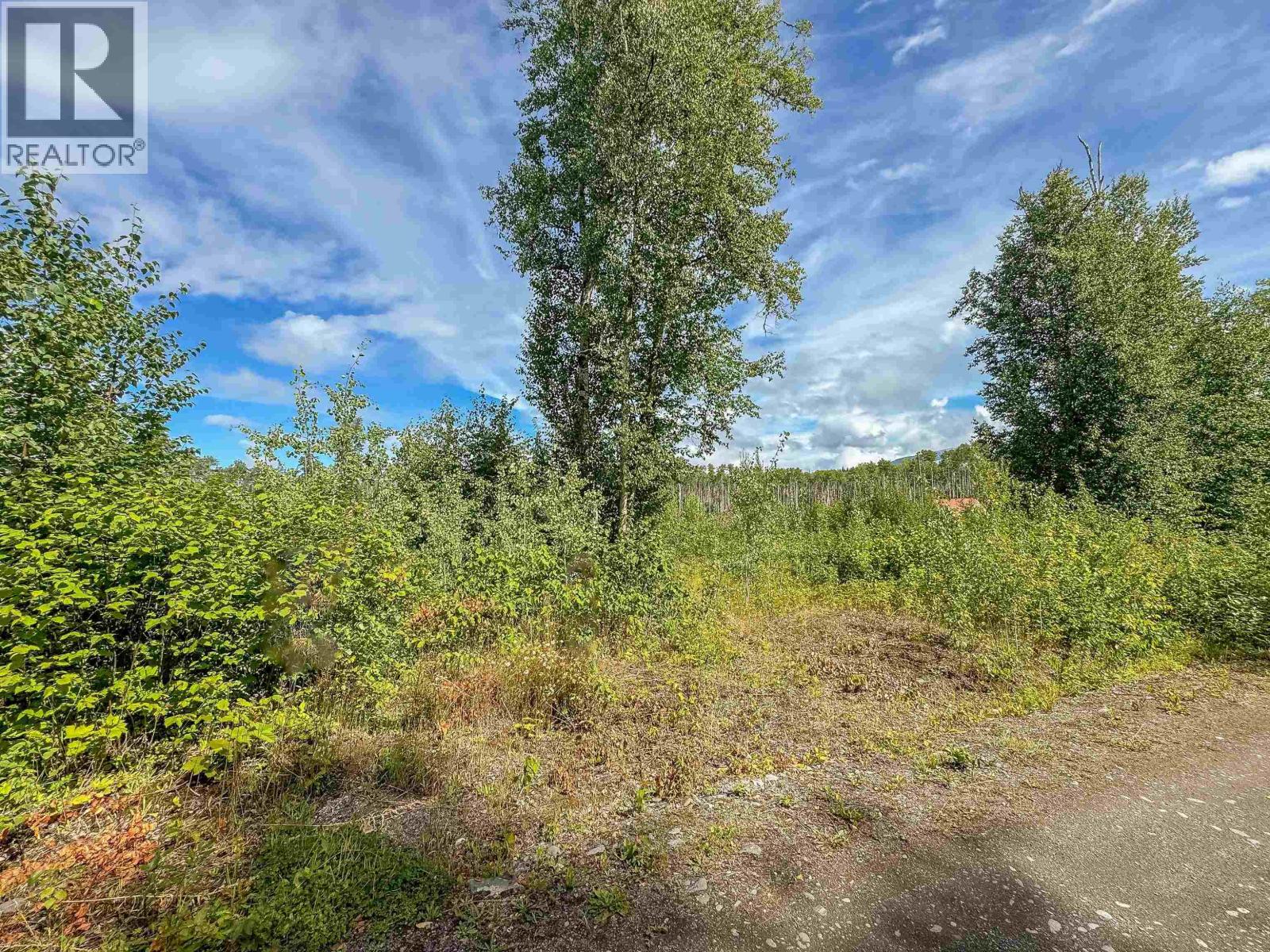 2 5115 Swannell Drive, Hazelton, British Columbia  V0J 1Y1 - Photo 13 - R3089418