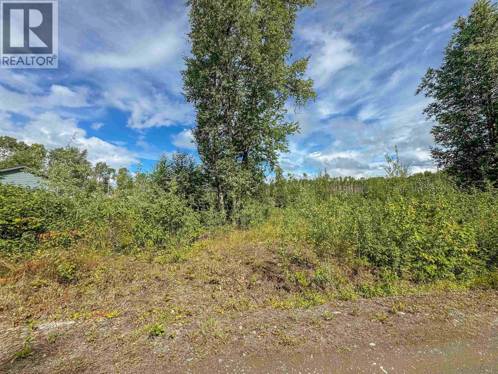 2 5115 Swannell Drive, Hazelton, British Columbia  V0J 1Y1 - Photo 12 - R3089418