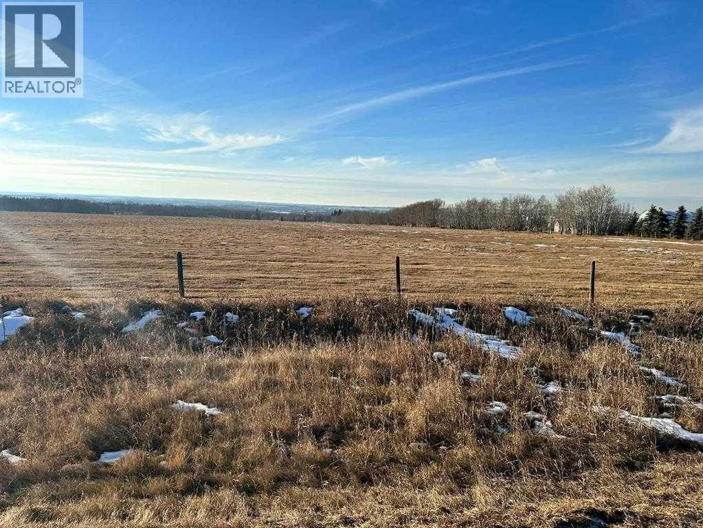 2910 & 2920 35 Street, Ponoka, Alberta  T4J 1A7 - Photo 3 - A2294219