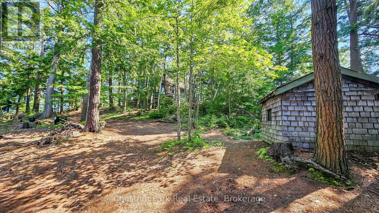 1 Merlin (Island M91) Island, Muskoka Lakes, Ontario  P1P 1R2 - Photo 11 - X13552974