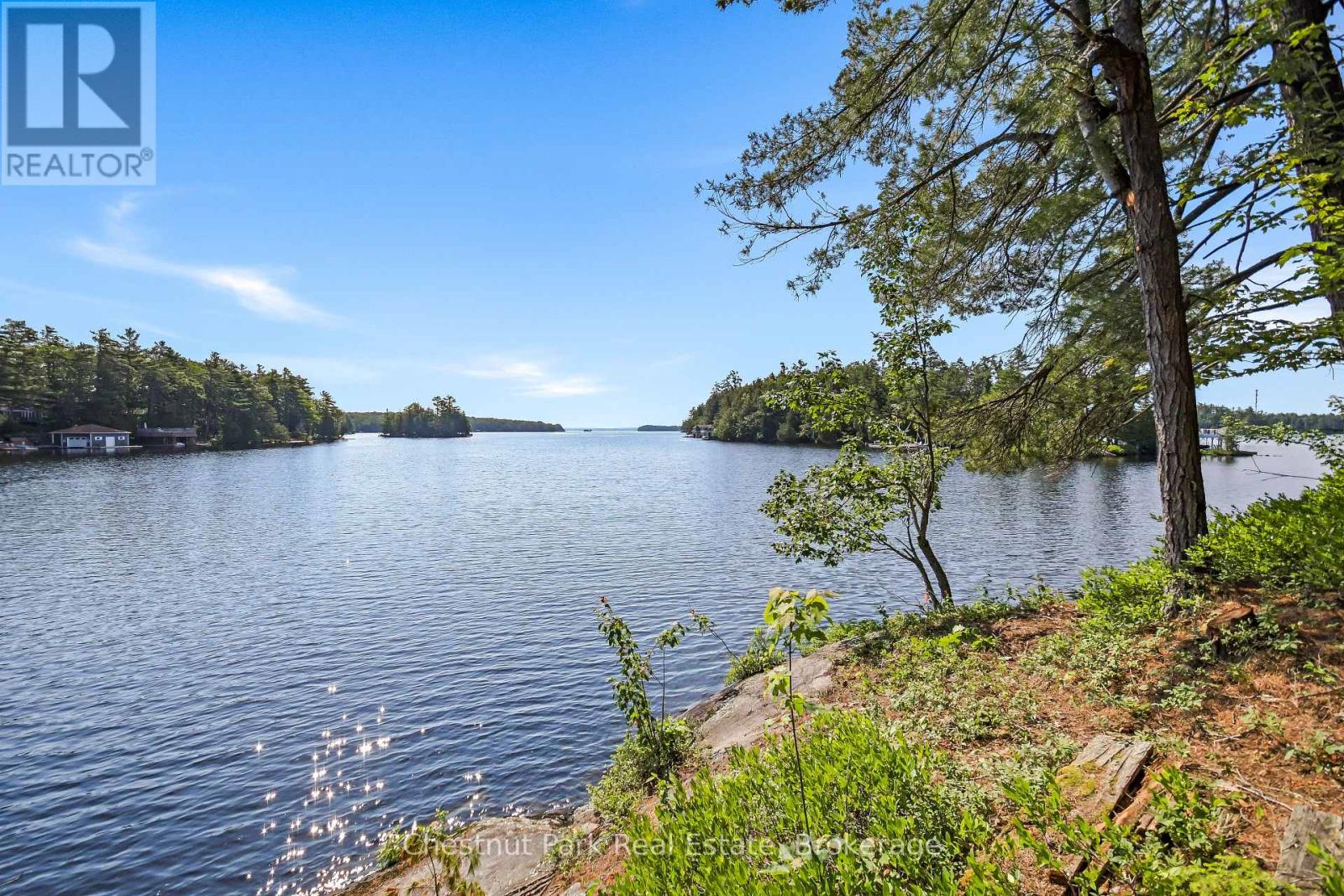 1 Merlin (Island M91) Island, Muskoka Lakes, Ontario  P1P 1R2 - Photo 2 - X13552974