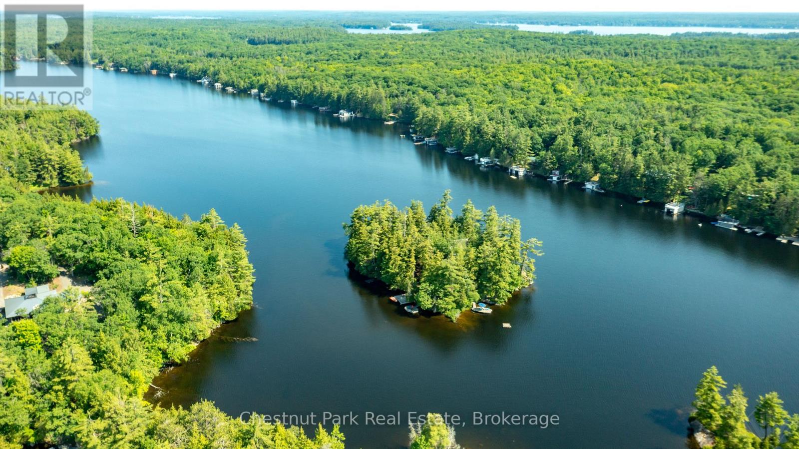 1 Merlin (Island M91) Island, Muskoka Lakes, Ontario  P1P 1R2 - Photo 3 - X13552974