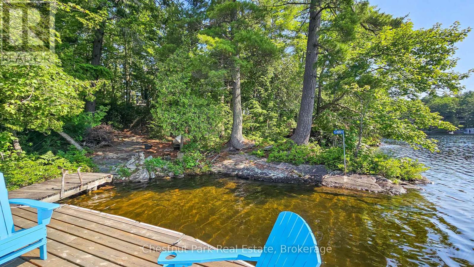 1 Merlin (Island M91) Island, Muskoka Lakes, Ontario  P1P 1R2 - Photo 37 - X13552974