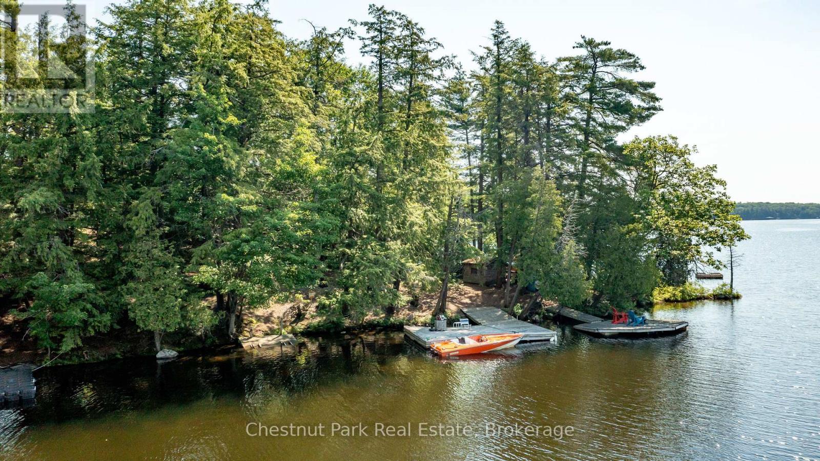 1 Merlin (Island M91) Island, Muskoka Lakes, Ontario  P1P 1R2 - Photo 39 - X13552974