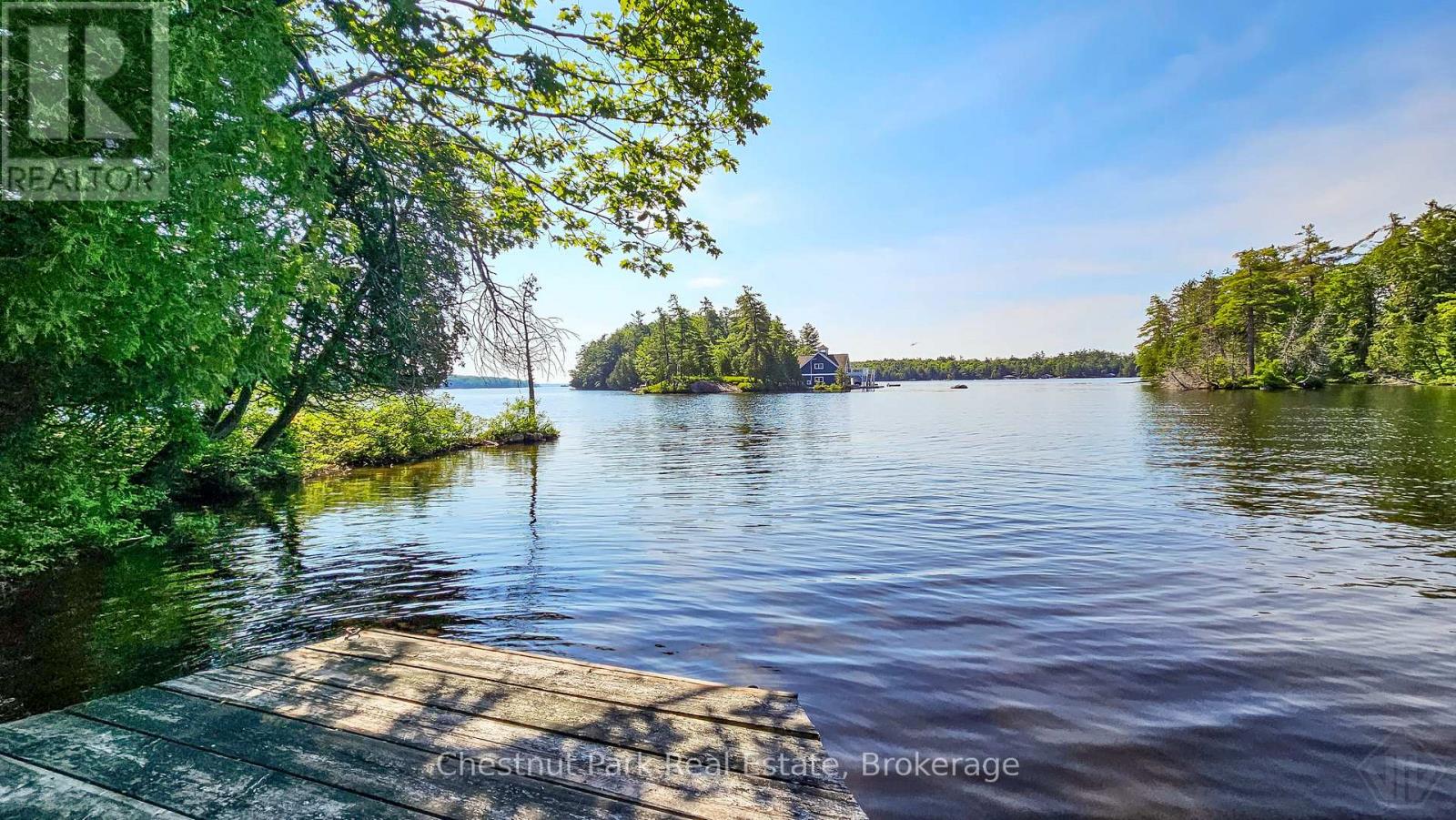1 Merlin (Island M91) Island, Muskoka Lakes, Ontario  P1P 1R2 - Photo 4 - X13552974