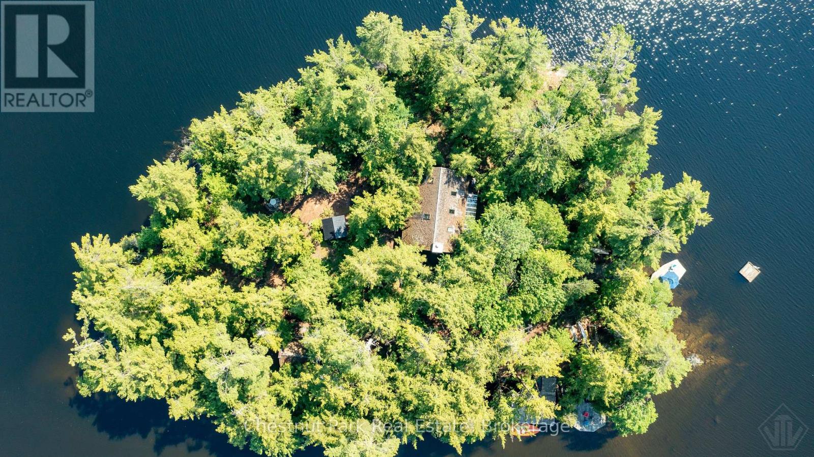 1 Merlin (Island M91) Island, Muskoka Lakes, Ontario  P1P 1R2 - Photo 41 - X13552974
