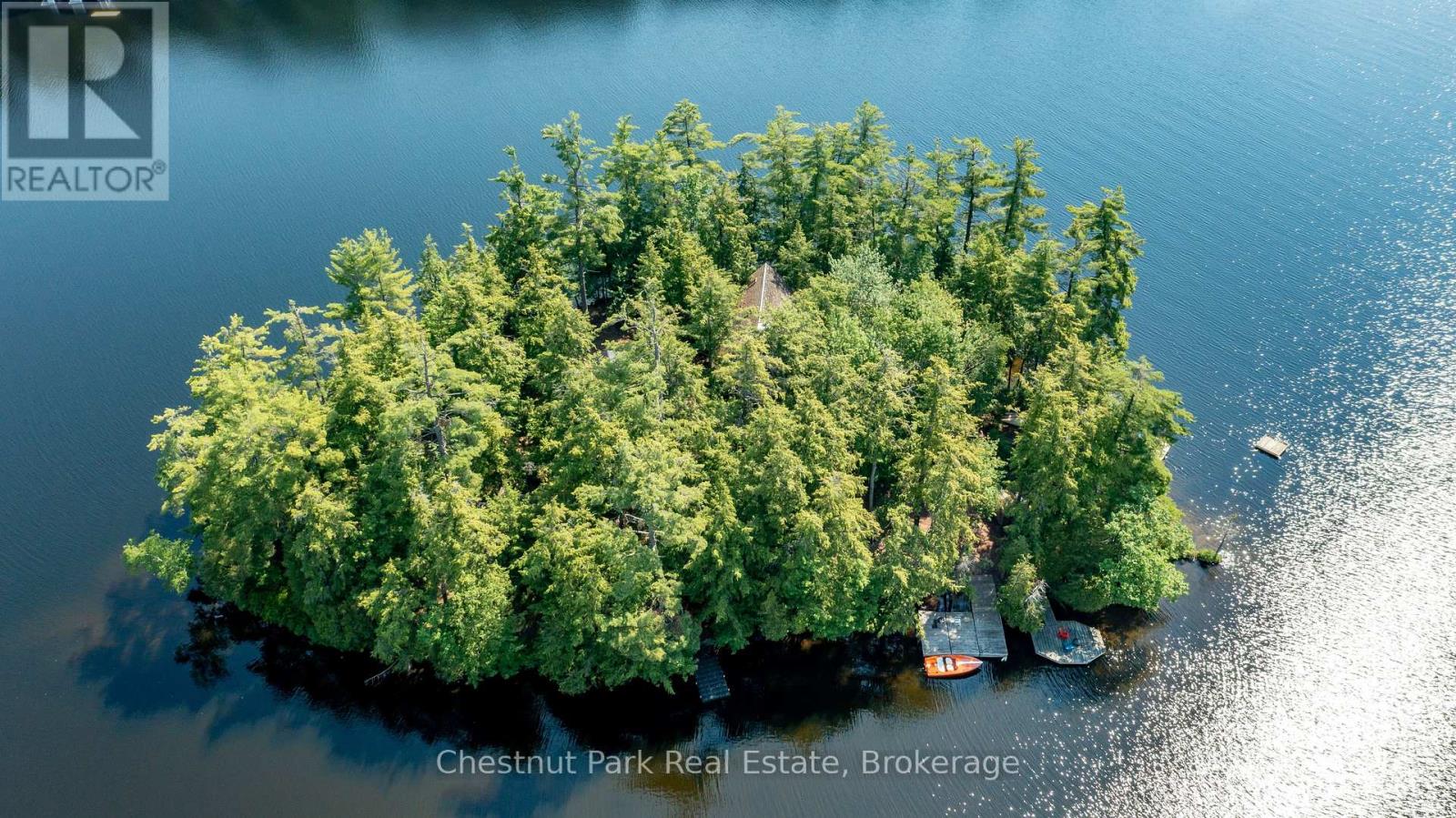 1 Merlin (Island M91) Island, Muskoka Lakes, Ontario  P1P 1R2 - Photo 5 - X13552974