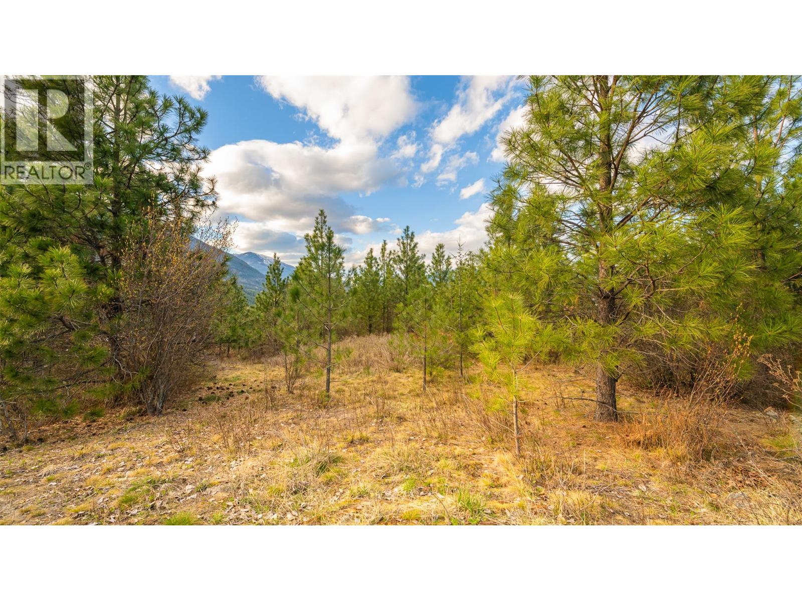 2075 Highland Crescent, Creston, British Columbia  V0B 1G7 - Photo 6 - 10382415