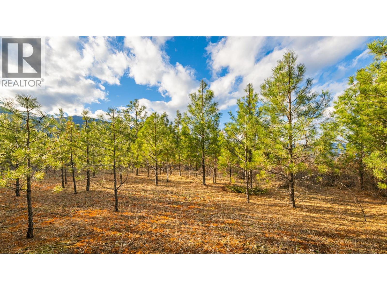 2075 Highland Crescent, Creston, British Columbia  V0B 1G7 - Photo 5 - 10382415