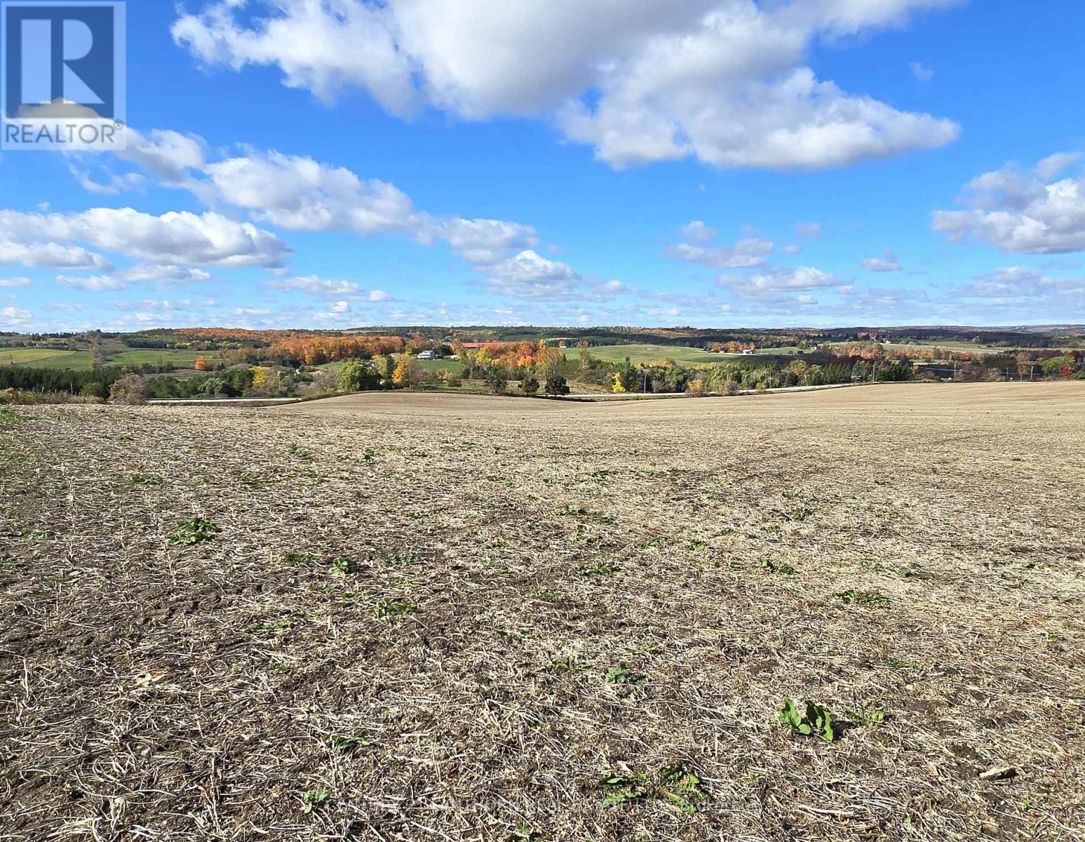 488297 30th Side Road, Mono, Ontario  L0N 1R0 - Photo 6 - X12484213