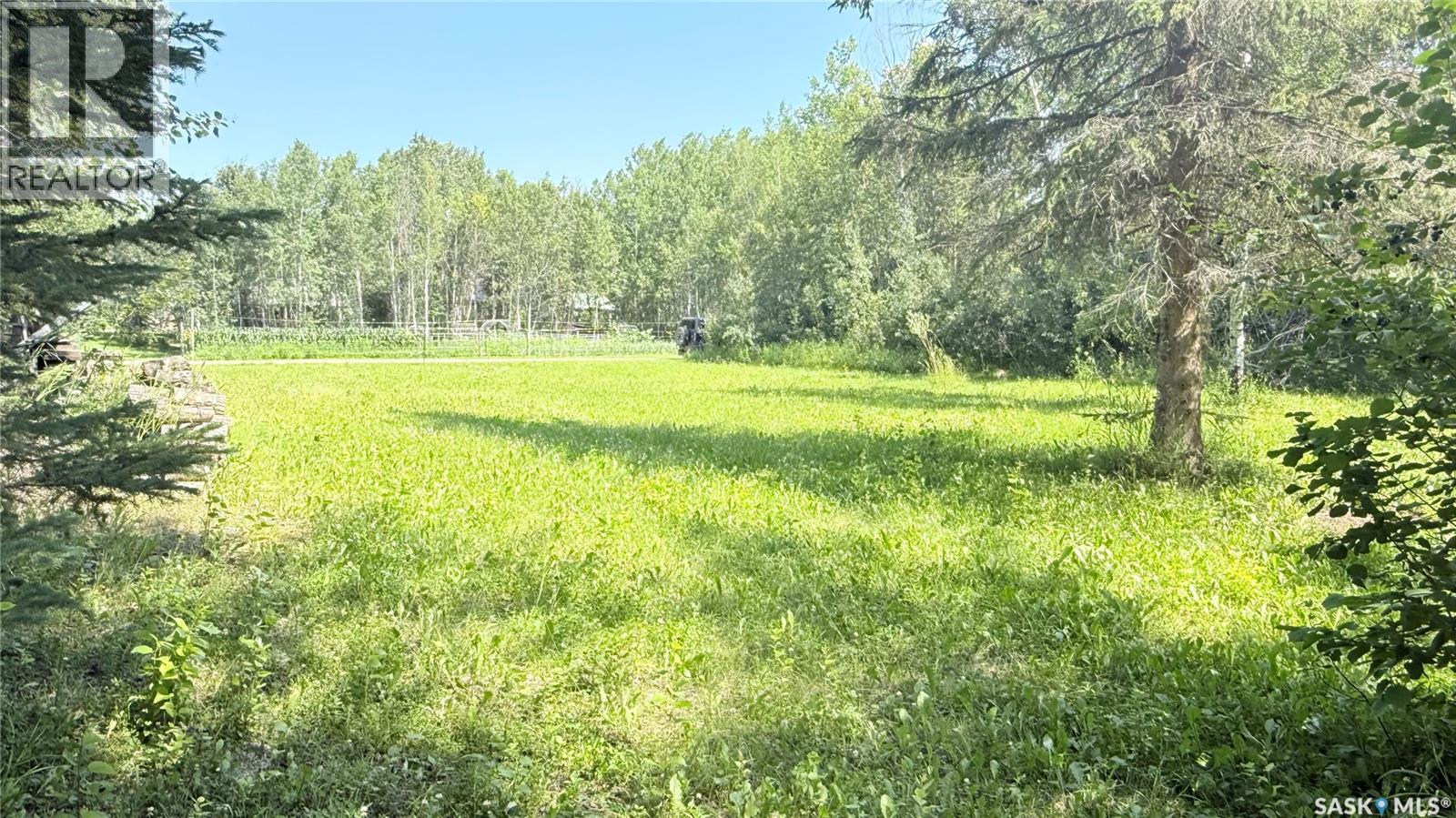 Lot 5 David Street, Big River Rm No. 555, Saskatchewan  S0J 0E0 - Photo 6 - SK043897
