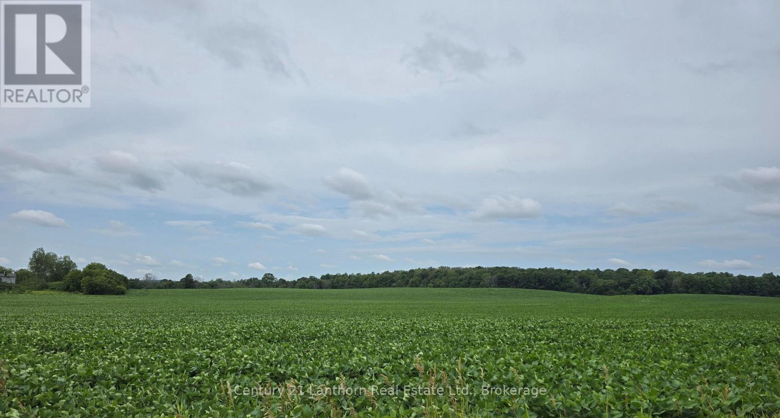 0 Willet Road, Belleville, Ontario  K0K 2Y0 - Photo 15 - X12633908