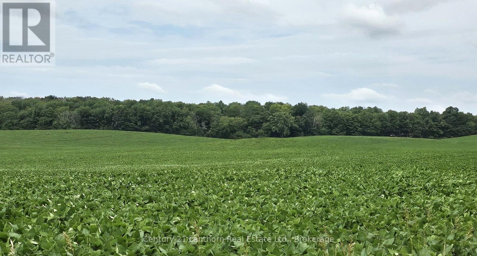 0 Willet Road, Belleville, Ontario  K0K 2Y0 - Photo 2 - X12633908