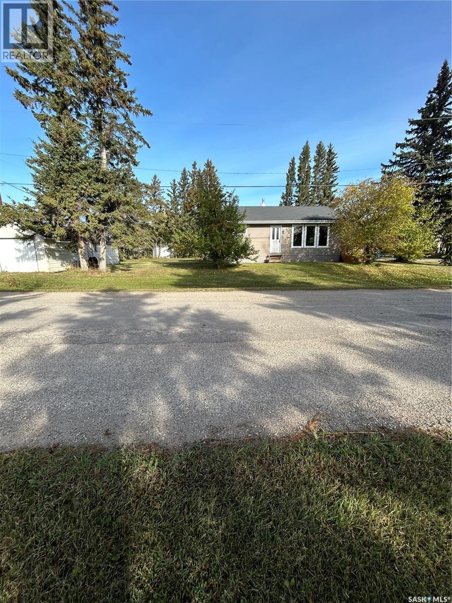 401 2nd Avenue N, Rose Valley, Saskatchewan  S0E 1M0 - Photo 1 - SK044018