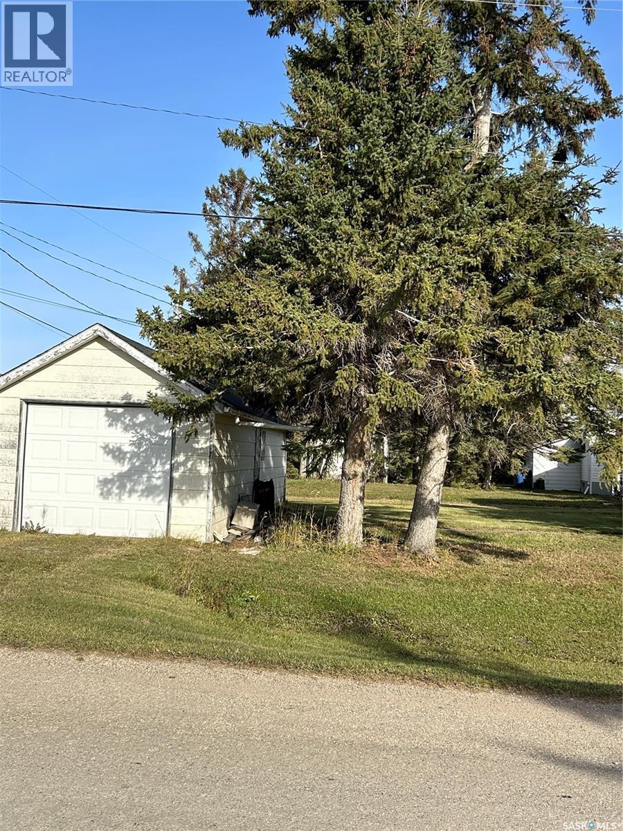 401 2nd Avenue N, Rose Valley, Saskatchewan  S0E 1M0 - Photo 10 - SK044018