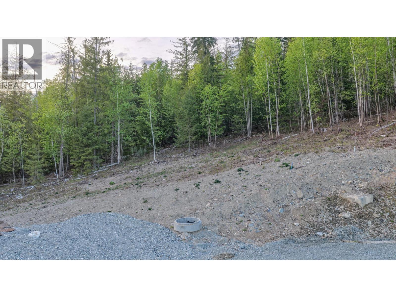 Lot 9 Lonneke Trail, Anglemont, British Columbia  V0E 1M8 - Photo 16 - 10385774