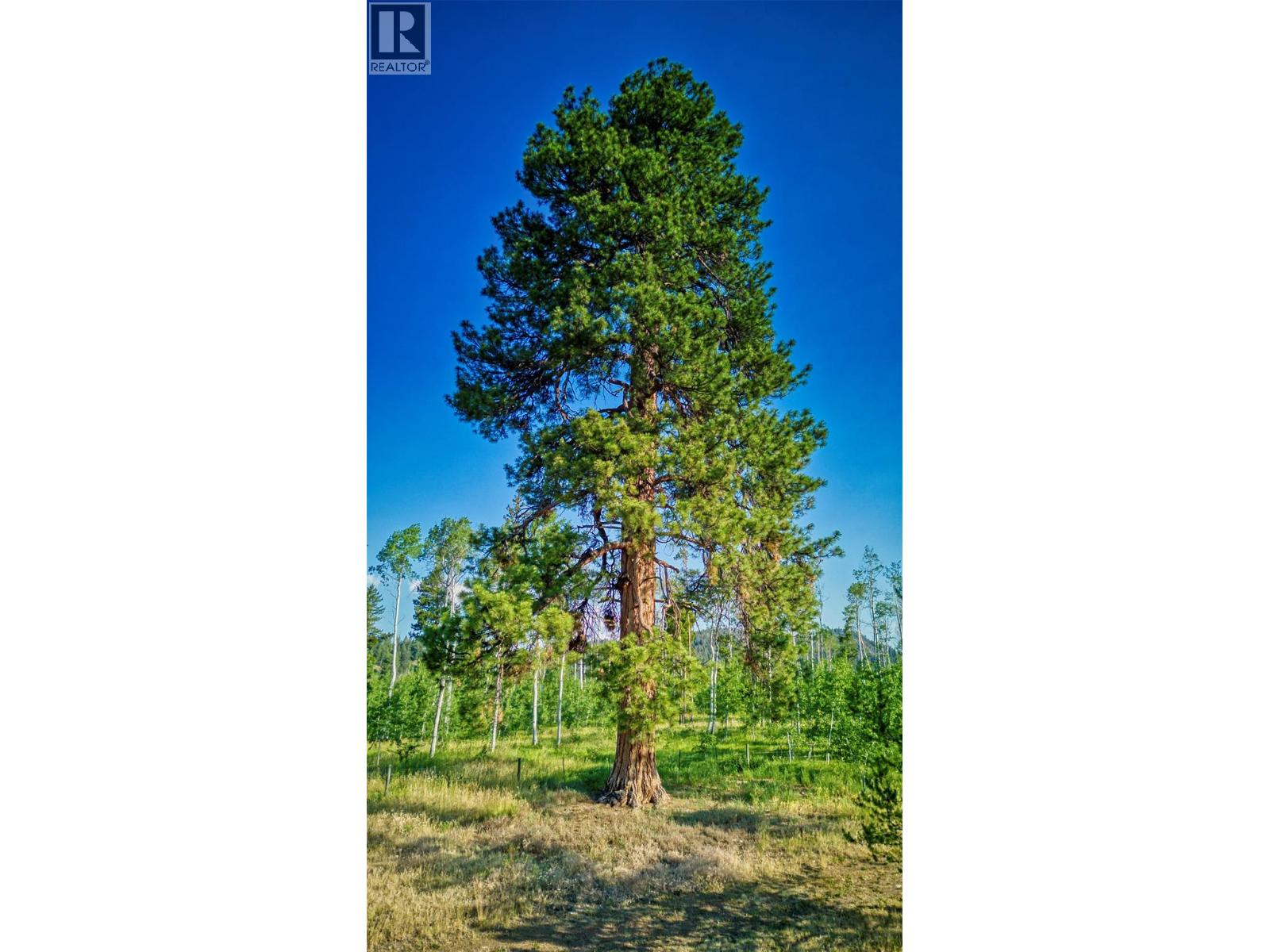 1000 Halfway Lake Road, Princeton, British Columbia  V0X 1W0 - Photo 33 - 10320491