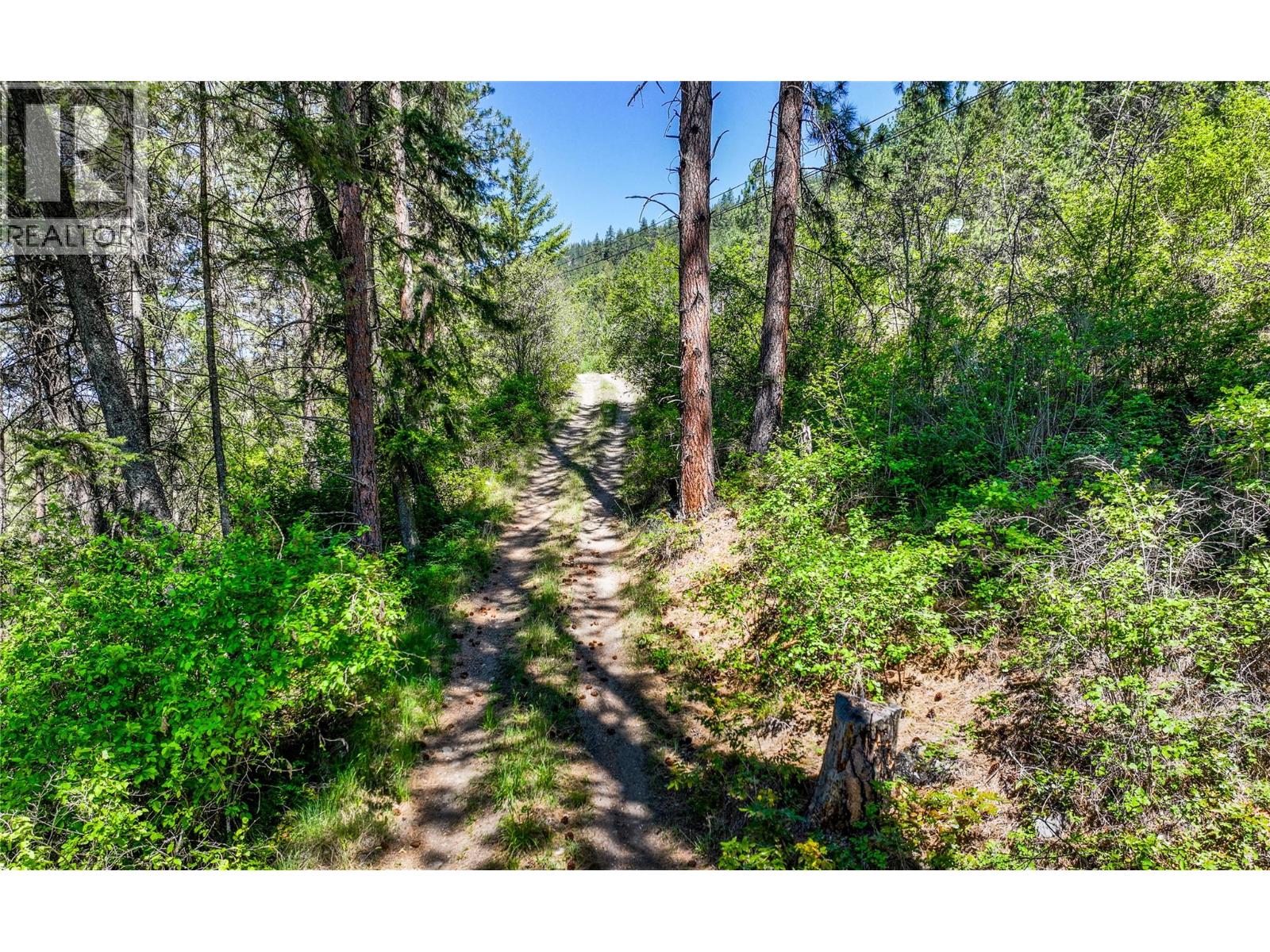 8281 Hwy 3a, Sirdar, British Columbia  V0B 2C0 - Photo 9 - 10385236