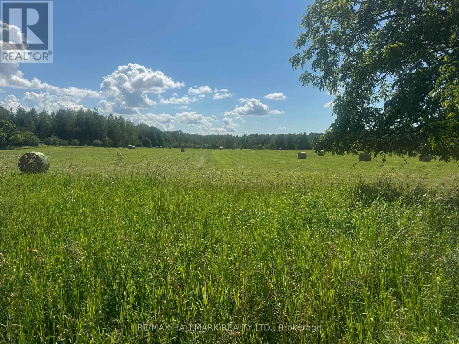 17236 KENNEDY ROAD, Whitchurch-Stouffville, Ontario