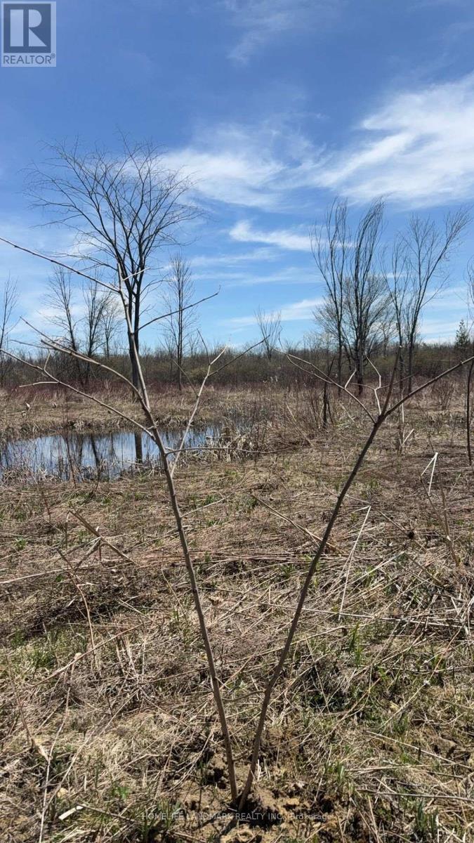 B192 Durham Regional  23 Road, Brock, Ontario  L0K 1A0 - Photo 2 - N13619040