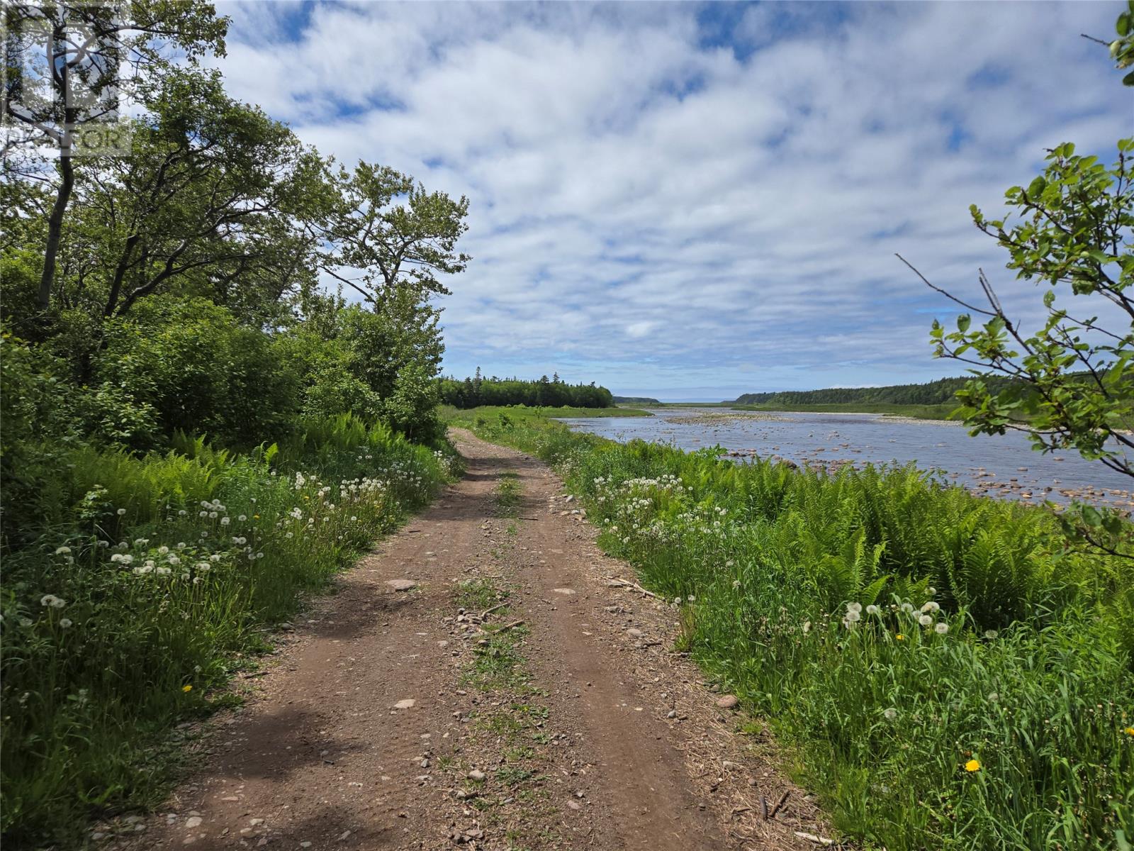 0 Crabbs River Road, St Fintans — photo 4