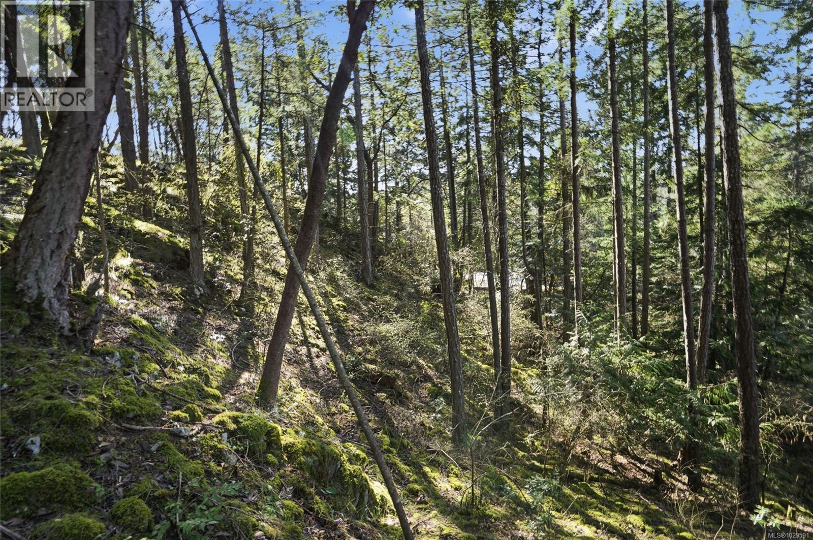 4800 Mcguffie Rd, Nanaimo, British Columbia  V9T 5B3 - Photo 28 - 1029591