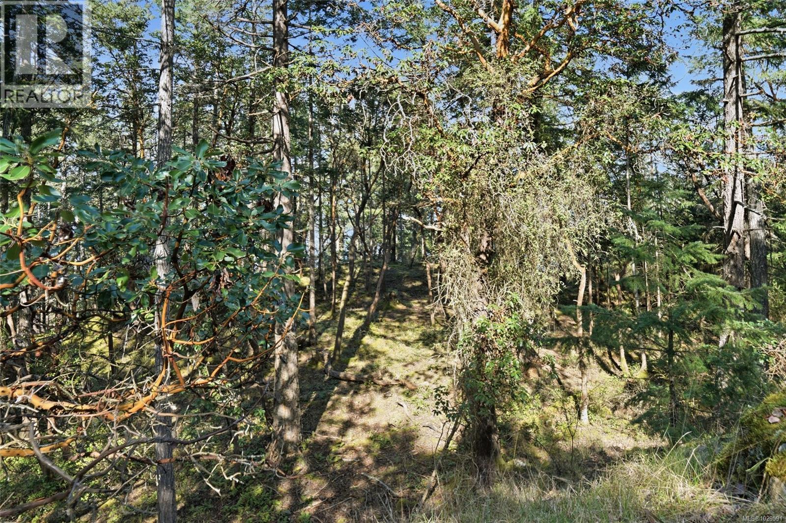 4800 Mcguffie Rd, Nanaimo, British Columbia  V9T 5B3 - Photo 27 - 1029591