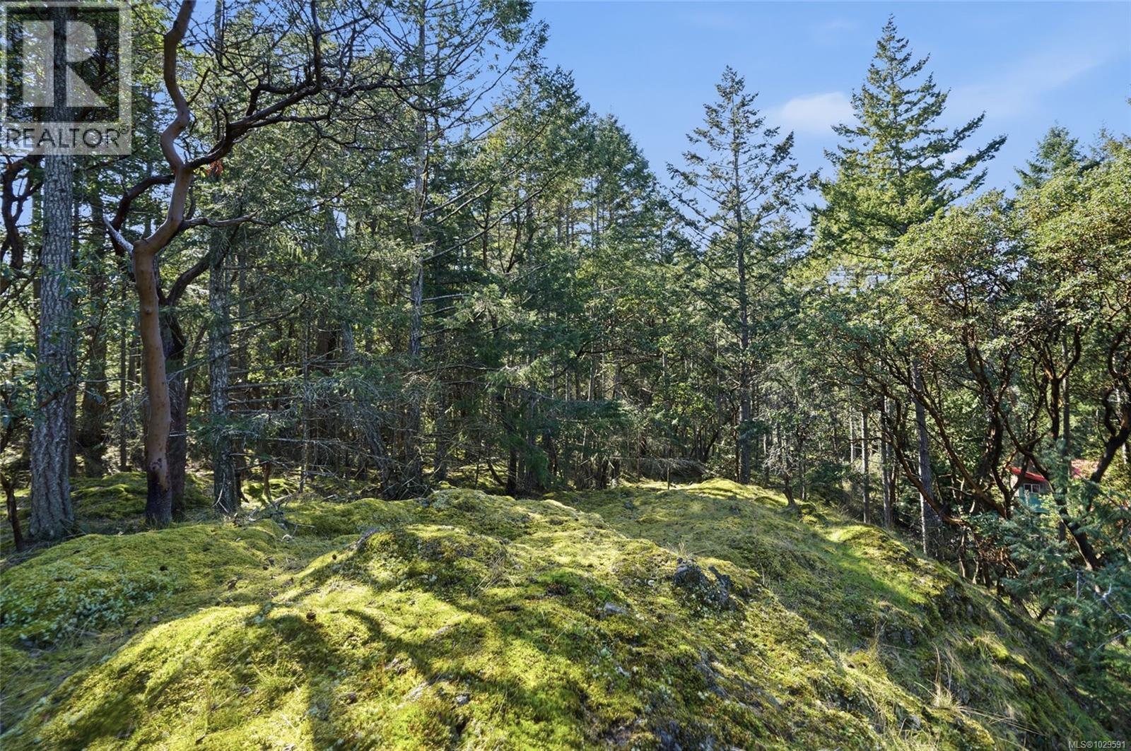 4800 Mcguffie Rd, Nanaimo, British Columbia  V9T 5B3 - Photo 23 - 1029591